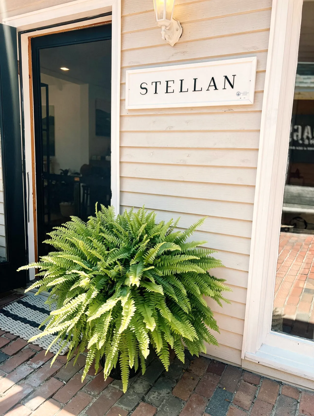 The STELLAN storefront in Rehoboth Beach: the shop sign on clapboard siding, a large fern by the open black door, and a brick sidewalk